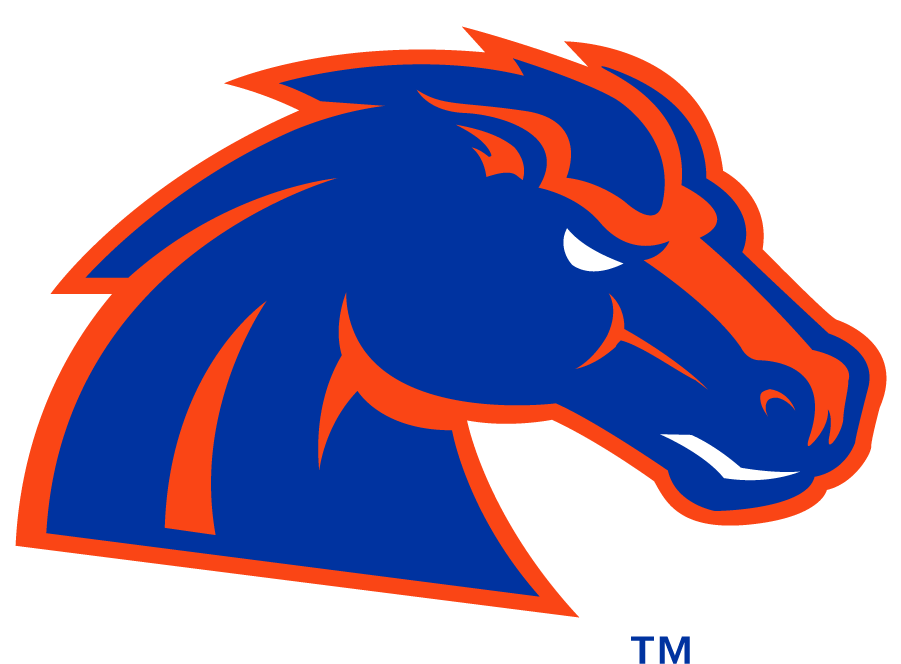Boise State Bronco 2012-2013 Secondary Logo DIY iron on transfer (heat transfer)